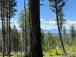 33721968