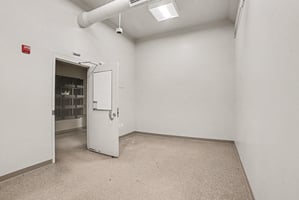 33725954