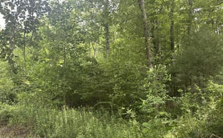 33733838