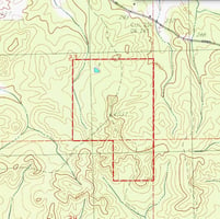 33738161