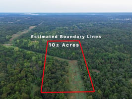 33741913