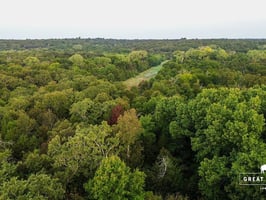 33741923