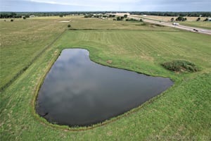 33746422