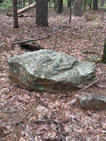 33746506