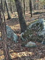 33746491