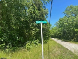 33754666