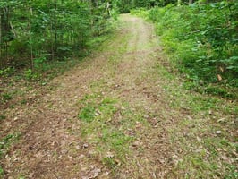 33764171