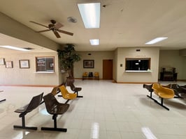33764614