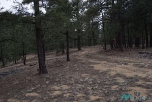 33770632