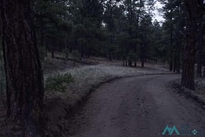 33770622