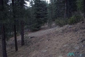 33770629