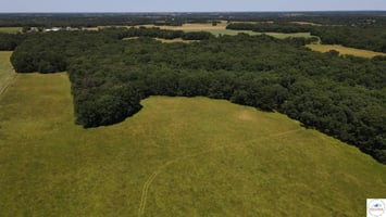 33771027