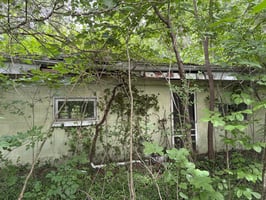 33778547