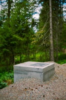 33784550