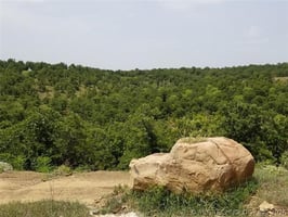 33786242