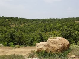 33786629
