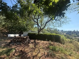 33790826
