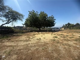 33790828
