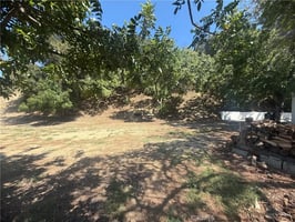 33790831