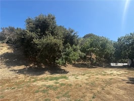 33790832