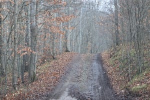 33792941