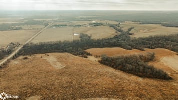 33792474