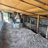 33796895