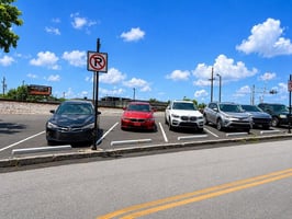 33798508