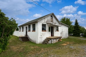 33809018