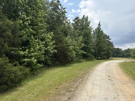 33810460