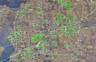 34405993