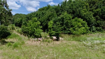33817274