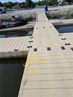 33818139