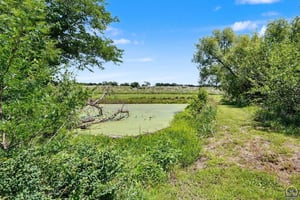 33819504