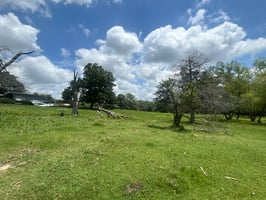 33831680