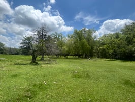 33831678