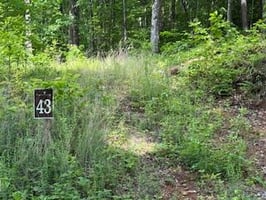 33832910