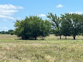 33847470