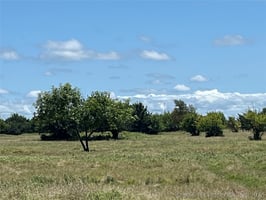33847471