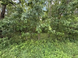 33847947
