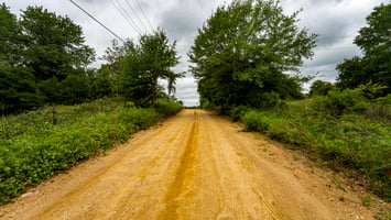 33858801