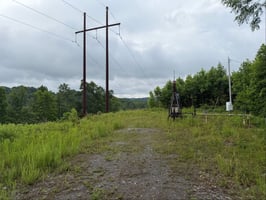 33895937