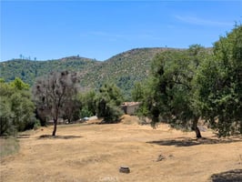 33869055