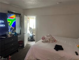 33869117