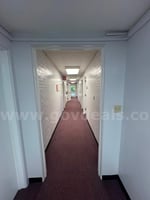 33869674