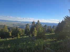 33873765