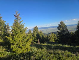 33873760
