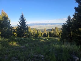 33873761