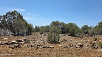33876218