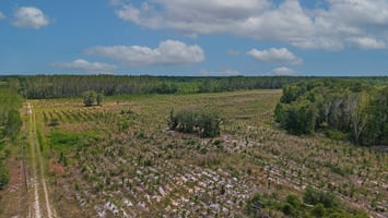 33887026